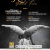 Affiche concert entrevaux